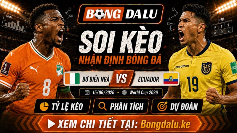 Đội hình sắp tới của Bờ Biển Ngà vs Ecuador Đội hình sắp tới của Bờ Biển Ngà vs Ecuador